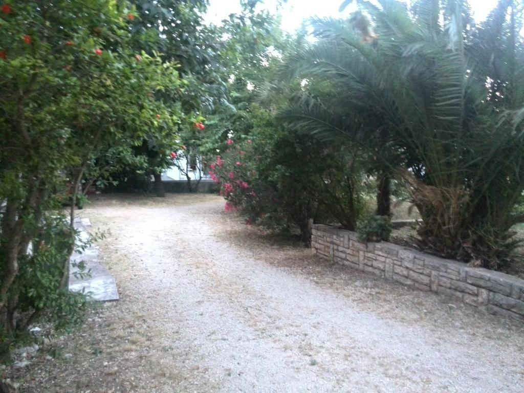 Apartment Tome Biograd Na Moru Phòng bức ảnh